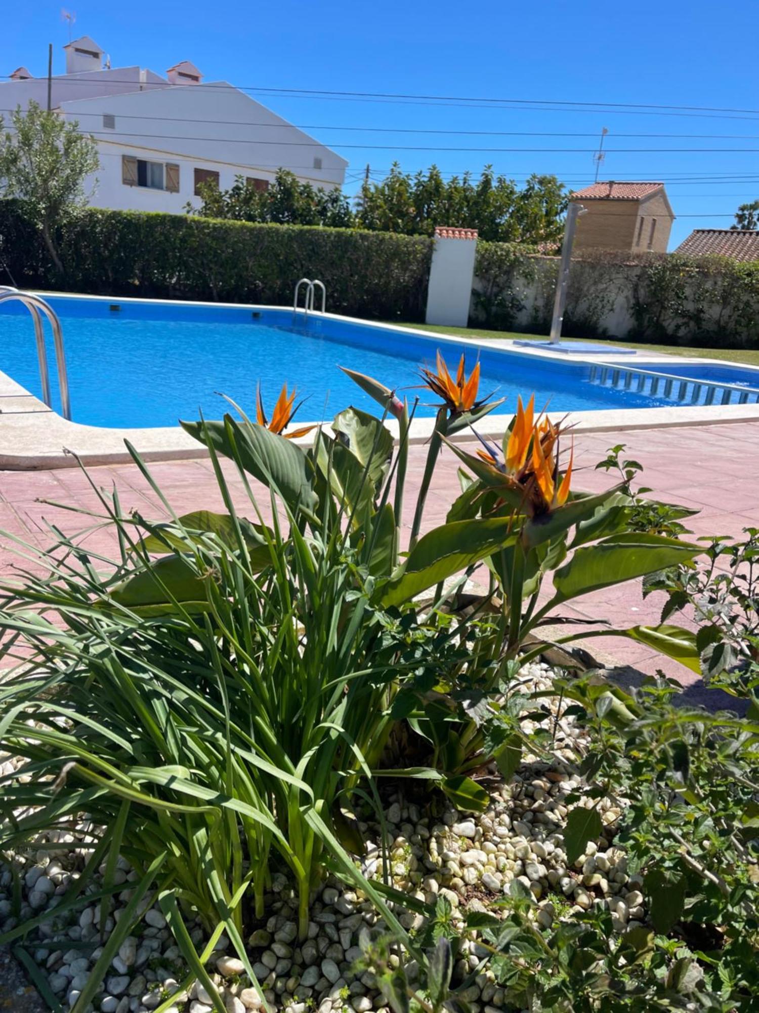 Ferienwohnung Cala Puntal Vinarós Exterior foto